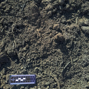 Compost 0/20