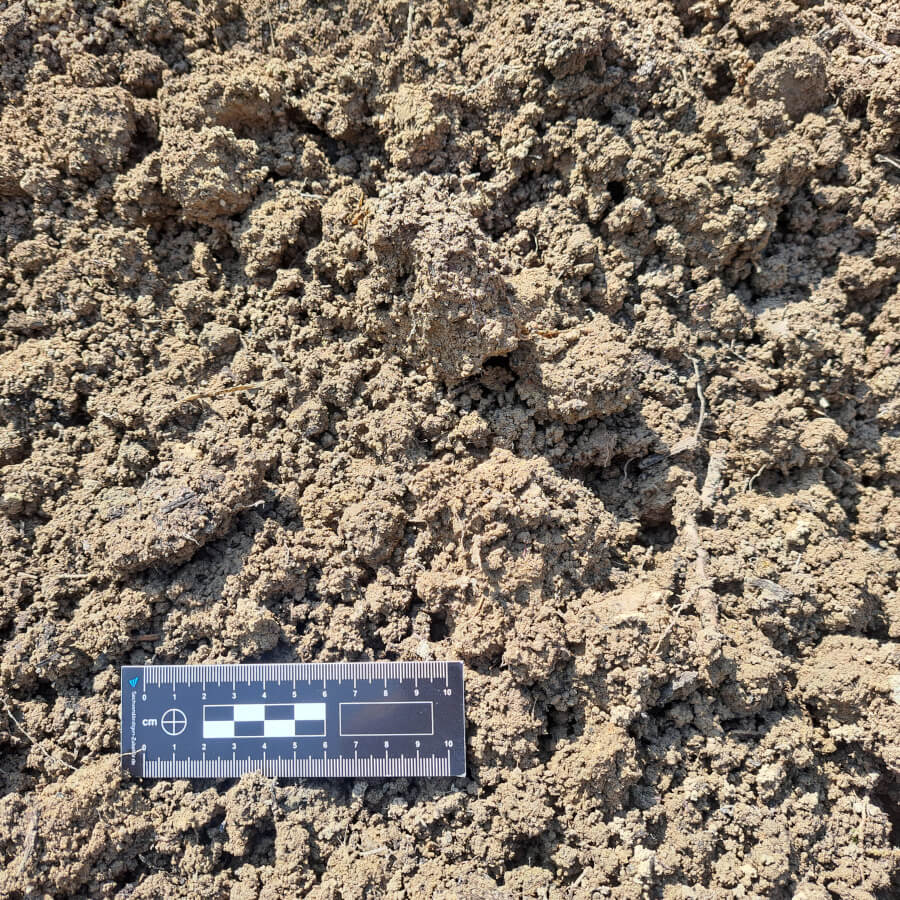 TV-VM02 2 Terre végétale - Big bag 1500kg